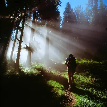 Hotel-pension Egger غروسارل