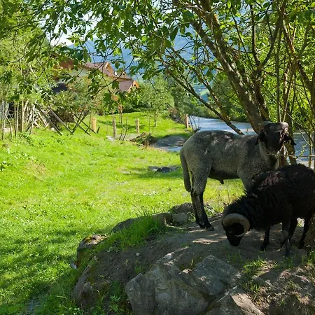 Hotel-pension Egger فندق 3*